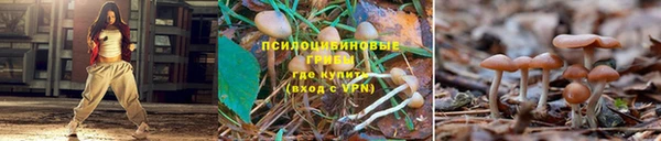 каннабис Каменка