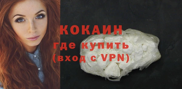 PSILOCYBIN Каменногорск