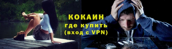 PSILOCYBIN Каменногорск