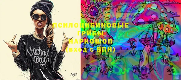 PSILOCYBIN Каменногорск