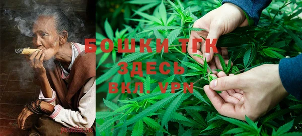 PSILOCYBIN Каменногорск