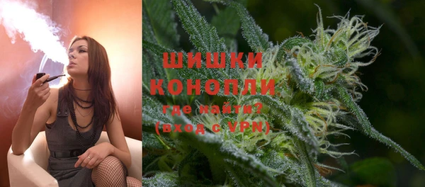 PSILOCYBIN Каменногорск